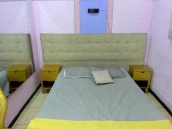 Melannyy-- webcam bongacams model stream image