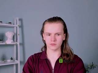 leo-void webcam model stream image