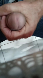 brasil02017 webcam model stream image