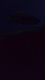 AnQueenhot webcam model stream image
