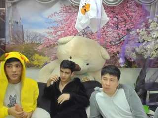 wildd-sexx webcam model stream image