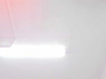 kaleb-violeta webcam model stream image