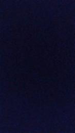 Whonder webcam model stream image