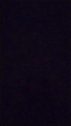 Whonder webcam model stream image