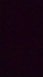 Whonder webcam model stream image