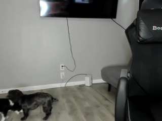 persiabitchh webcam model stream image