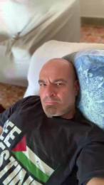 Pmi79 webcam model stream image