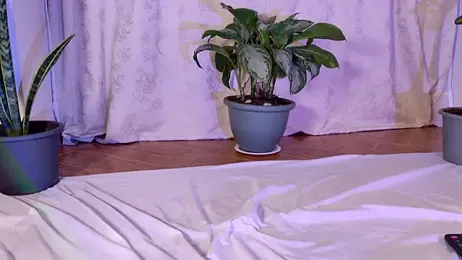 Salome1_gh webcam model stream image