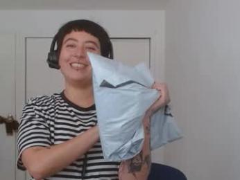 poly_mer webcam model stream image