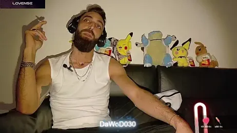 DaWoD030 webcam model stream image