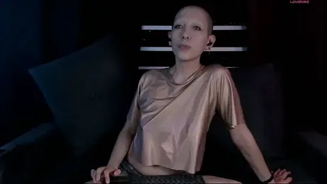 lnxmst webcam model stream image