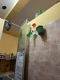 femboyslqueen webcam model stream image