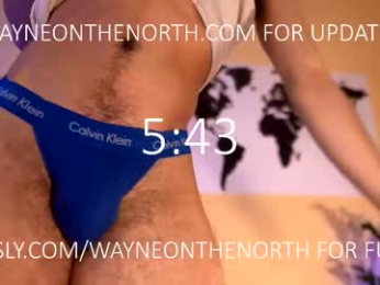 waynenorth webcam model stream image