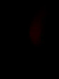 Vickyins480000 webcam model stream image