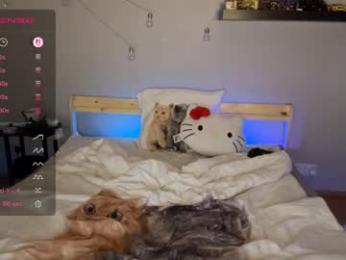 blushandburn webcam chaturbate model stream image