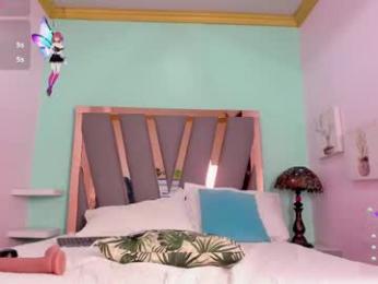 _lemmon_ webcam model stream image