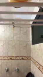 Meganshark webcam model stream image
