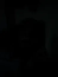 ShadowStreamX webcam model stream image