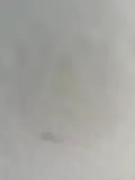 Safadocg025 webcam model stream image