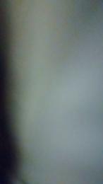 XPokerchipX webcam model stream image