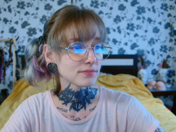 LittleSpaceMouse- webcam model stream image