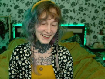 LittleSpaceMouse- webcam model stream image