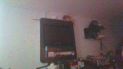 Dripnation webcam model stream image