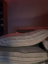 Bastet webcam model stream image