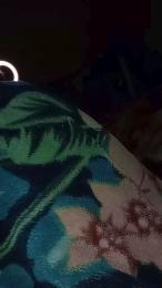 Carito3535 webcam model stream image