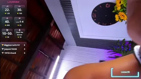 AriebonyBrooke webcam model stream image