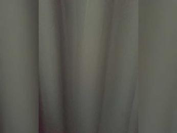 MintJuice webcam model stream image