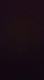 pallopinco2 webcam model stream image