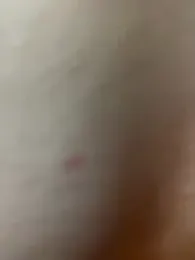 Bella_babei01 webcam model stream image