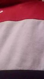 Cerditoi webcam model stream image