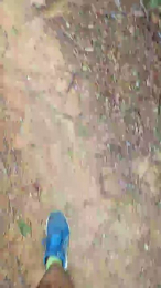 Arturito webcam model stream image