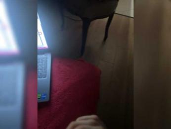 OlyaCharme webcam model stream image