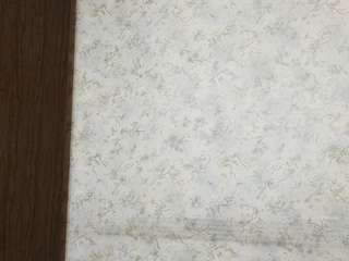 ellaandersen webcam model stream image