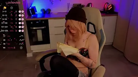 zelda_1 webcam model stream image
