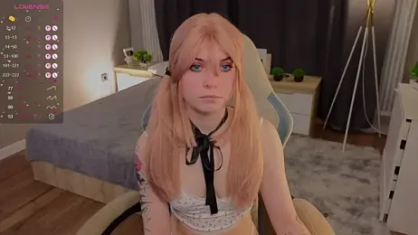 zelda_1 webcam model stream image