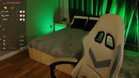 zelda_1 webcam model stream image