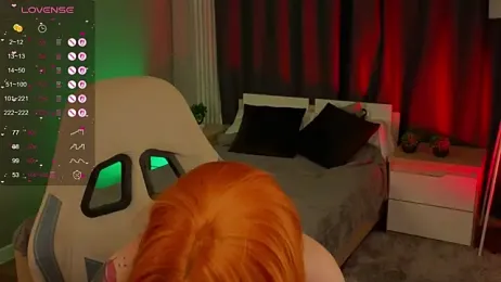 zelda_1 webcam model stream image