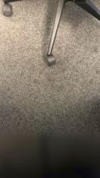 marc008 webcam model stream image