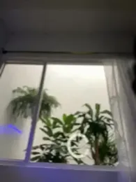 Emaa- webcam model stream image