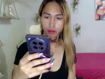 snow_2000 webcam model stream image