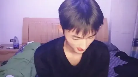 N228 webcam model stream image