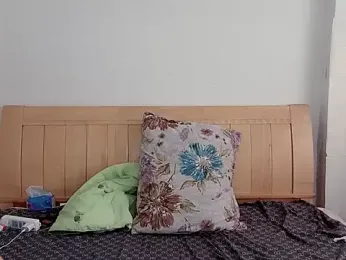 N228 webcam model stream image