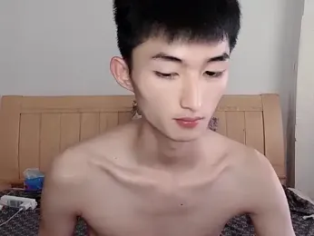 N228 webcam model stream image