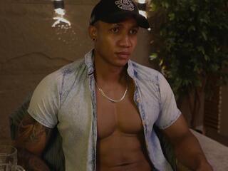 Logan Varela webcam model stream image