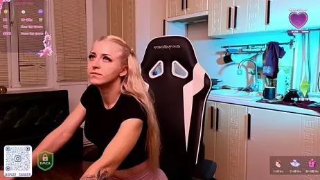 space_danger webcam model stream image