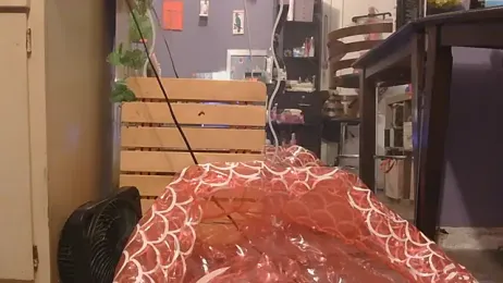 watermellonpussy webcam model stream image